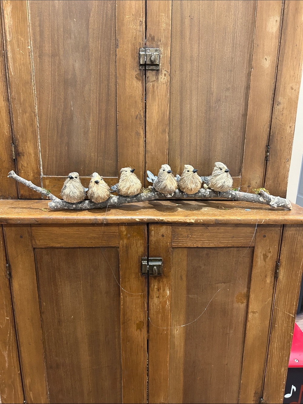 Birds on a tree branch.